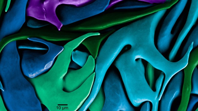Science engineering contest 2012 3.jpg